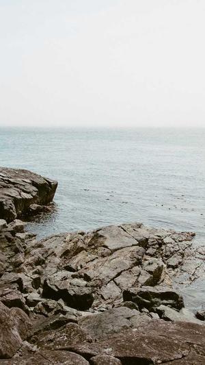 目录站群与泛站群截图3