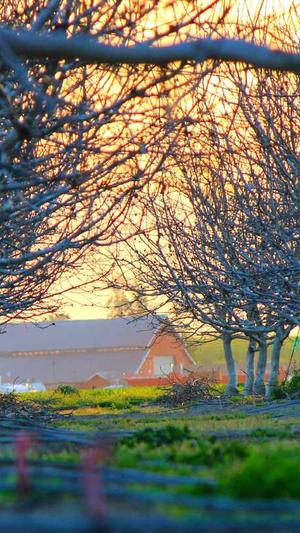 蜘蛛池步骤教程截图3