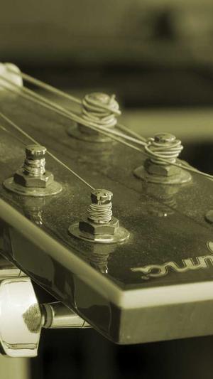 蜘蛛池 百家号截图1