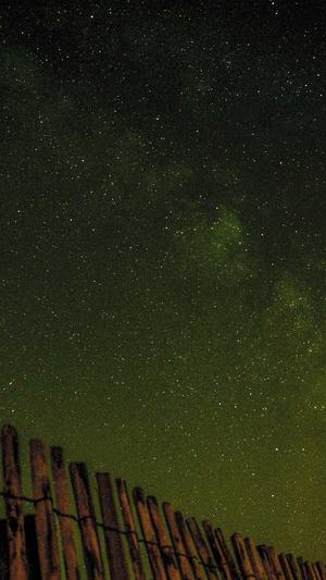 小旋风蜘蛛池泛目录截图1