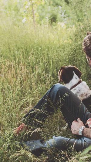 百度seo排名软件截图2