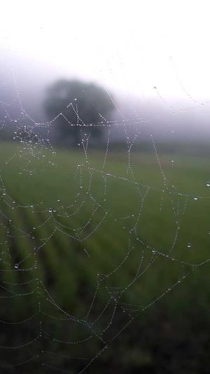 重庆seo站外优化截图2