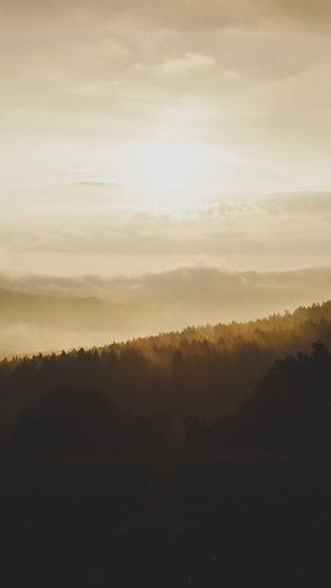 深圳seo公司截图4