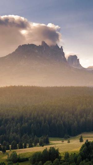 seo整站优化截图1