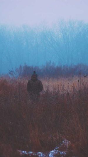 蜘蛛池的搭建技巧图解截图3