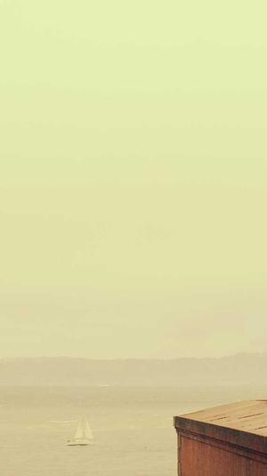 蜘蛛池搭建价格多少钱截图5