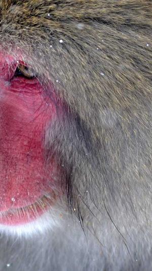 蜘蛛池收录快吗截图3