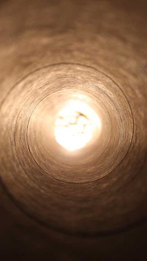 蜘蛛池怎么导入蜘蛛群截图1