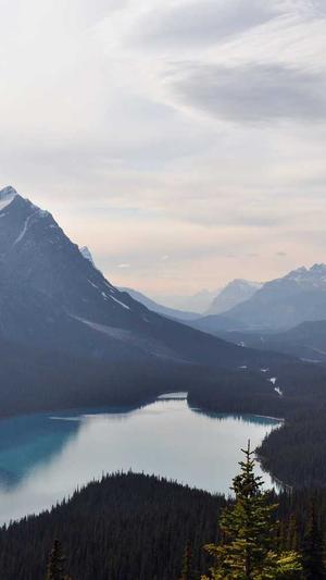 重庆高端网站seo截图1