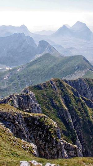 SEO快速排名截图4