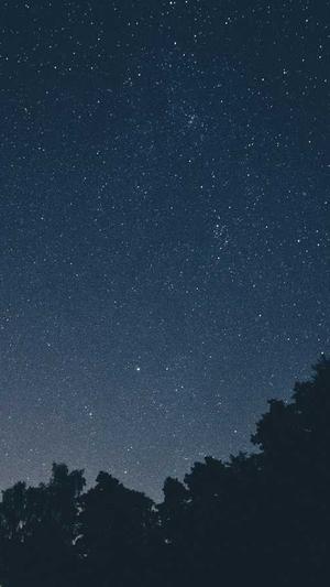 蜘蛛池使用视频教学截图3