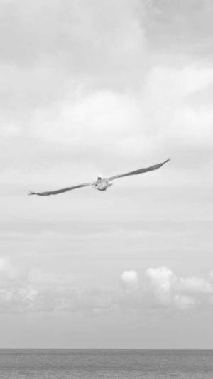 安卓wpk解压工具截图3