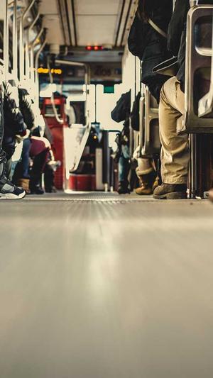 蜘蛛池怎么导入蜘蛛群截图3