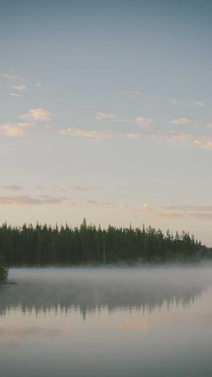 目录站群与泛站群截图2