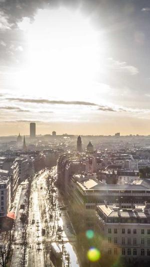 小熊猫蜘蛛池截图5