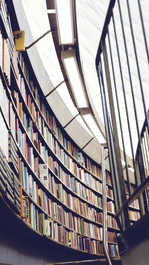 seo案例分析截图4