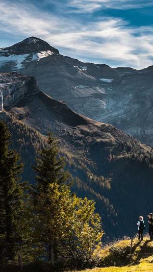 搜狗泛目录租用截图3