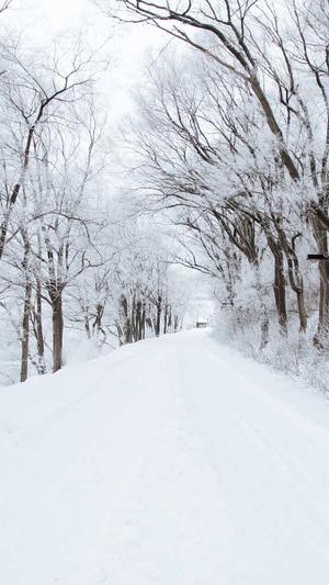 百度蜘蛛池有什么用截图4