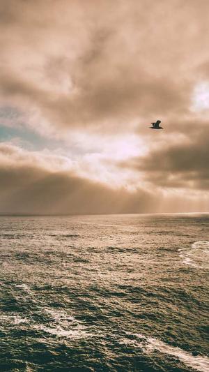 泛目录排名原理及讲解截图1