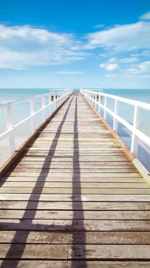 蜘蛛池对关键词有用吗截图2