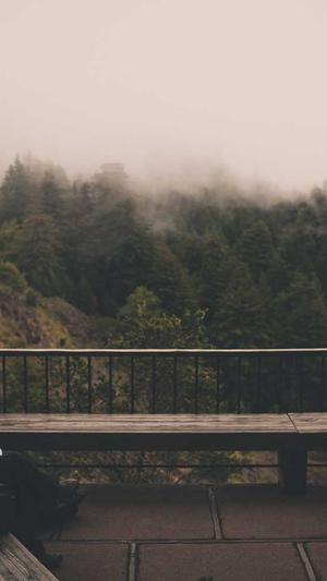 seo优化技术截图1