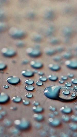 小旋风泛目录站群截图1