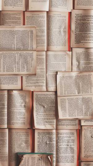 泛目录的作用截图5