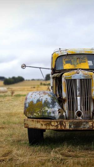 蜘蛛池锁定蜘蛛截图4