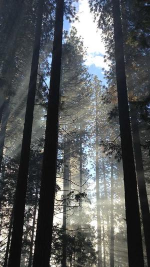 黑侠蜘蛛池2.0破解版截图2