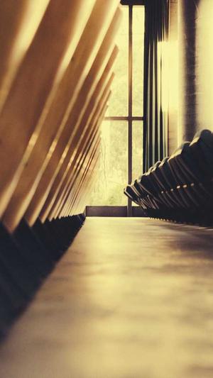 阿里蜘蛛池搭建教程截图1