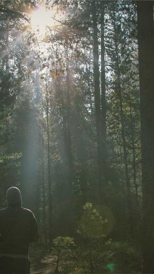 重庆seo点击软件截图2