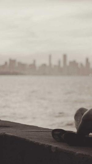 权重蜘蛛池怎么做截图1