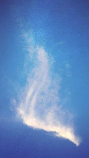 小旋风泛目录截图4